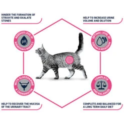 Affinity Advance Veterinary Diets Urinary Katze -Tierbedarf Geschäft affinity advance veterinary diets urinary kat 176905 0500 none