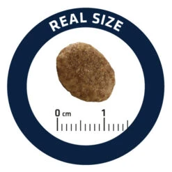 Affinity Advance Veterinary Diets Urinary Katze -Tierbedarf Geschäft affinity advance veterinary diets urinary kat 176911 0500 none