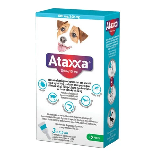 Ataxxa 6 Ataxxa – Bild 4
