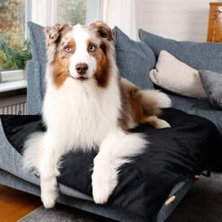 Bia Travel Outdoor Matratze 6 Bia Travel Outdoor Matratze -Tierbedarf Geschäft bia travel outdoor matras 191348 0500 none