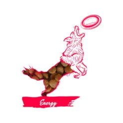 Calibra Dog Expert Nutrition Energy -Tierbedarf Geschäft calibra dog expert nutrition energy 163534 0500 none