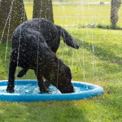 CoolPets Splash Pool Water Sprinkler -Tierbedarf Geschäft coolpets splash pool sproeier 174286 0500 none