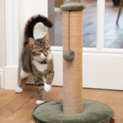 Designed By Lotte Kratzbaum Yenna -Tierbedarf Geschäft designed by lotte krabpaal yenna 164437 0500 none