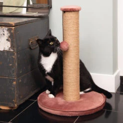 Designed By Lotte Kratzbaum Yenna -Tierbedarf Geschäft designed by lotte krabpaal yenna 164443 0500 none