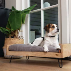 Designed By Lotte Hundebett Turana -Tierbedarf Geschäft designed by lotte ligmand turana 170032 0500 none