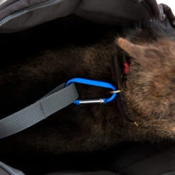 Doctor Bark Hundetragetasche -Tierbedarf Geschäft doctor bark honden draagtas 202157 0500 none