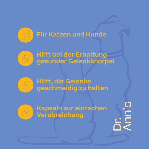 Dr. Ann's Mobility Support Plus 5 Dr. Ann's Mobility Support Plus – Bild 3