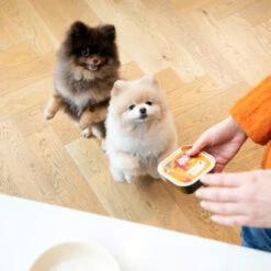 Edgard & Cooper Adult - Huhn & Truthahn - Im Schälchen -Tierbedarf Geschäft edgard cooper adult kip kalkoen kuipje 168597 0500 none