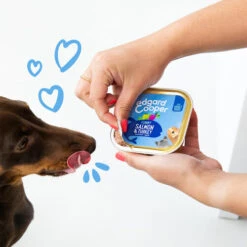 Edgard & Cooper Adult - Lachs Und Truthahn - Schale -Tierbedarf Geschäft edgard cooper adult zalm kalkoen kuipje 208616 0500 none