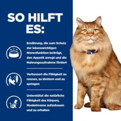 Hill's K/d + Mobility - Prescription Diet - Feline -Tierbedarf Geschäft hills kd mobility prescription diet feline 212465 0500 none