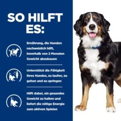 Hill's Metabolic + Mobility - Prescription Diet - Canine -Tierbedarf Geschäft hills metabolic mobility prescription diet canine 212783 0500 none