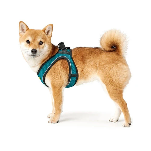 Hunter Hilo Comfort-Geschirr 4 Hunter Hilo Comfort-Geschirr – Bild 2