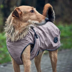 Hunter Hundemantel Uppsala 17 Hunter Hundemantel Uppsala -Tierbedarf Geschäft hunter hondemantel uppsala taupe 165685 0500 none