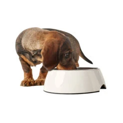 Hunter Melamin Napf - Weiß -Tierbedarf Geschäft hunter melamine voer en drinkbak wit 169567 0500 none