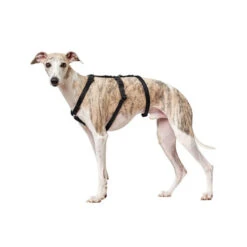 Hunter Vario Rapid Sicherheitsgeschirr - Schwarz -Tierbedarf Geschäft hunter vario rapid veiligheidsharnas zwart 169501 0500 none