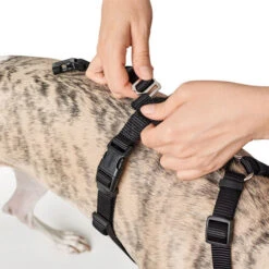 Hunter Vario Rapid Sicherheitsgeschirr - Schwarz -Tierbedarf Geschäft hunter vario rapid veiligheidsharnas zwart 169504 0500 none