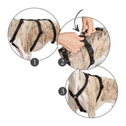 Hunter Vario Rapid Sicherheitsgeschirr - Schwarz -Tierbedarf Geschäft hunter vario rapid veiligheidsharnas zwart 169510 0500 none