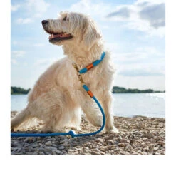 Hunter Verstellbare Führleine Oss -Tierbedarf Geschäft hunter verstelbare riem oss 116580 0500 none