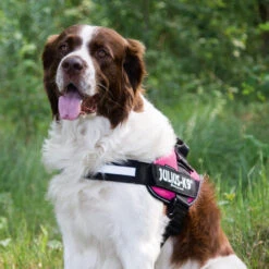 Julius K9 IDC Powergeschirr 18 Julius K9 IDC Powergeschirr -Tierbedarf Geschäft julius k9 idc powertuig 192695 0500 none