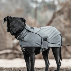 Kentucky Dogwear Soft Rubber Hundehalsband 11 Kentucky Dogwear Soft Rubber Hundehalsband -Tierbedarf Geschäft kentucky dogwear soft rubber hondenhalsband 219265 0500 none