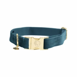 Kentucky Dogwear Velvet Hundehalsband -Tierbedarf Geschäft kentucky dogwear velvet hondenhalsband 219231 0500 none