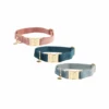 Kentucky Dogwear Velvet Hundehalsband -Tierbedarf Geschäft kentucky dogwear velvet hondenhalsband 219233 0500 none