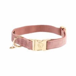 Tierbedarf Geschäft -Tierbedarf Geschäft kentucky dogwear velvet hondenhalsband 219234 0500 none