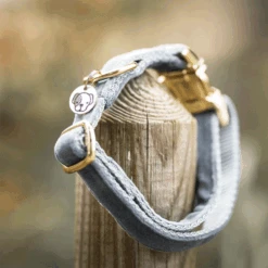 Kentucky Dogwear Velvet Hundehalsband -Tierbedarf Geschäft kentucky dogwear velvet hondenhalsband 219236 0500 none