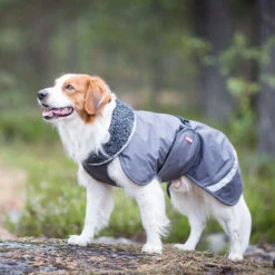 Pomppa Perus Hundejacke -Tierbedarf Geschäft pomppa perus hondenjas 215732 0500 none