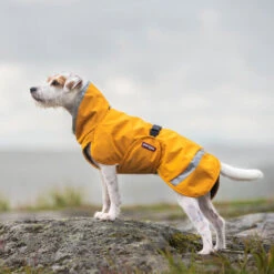 Pomppa Perus Hundejacke -Tierbedarf Geschäft pomppa perus hondenjas 215735 0500 none
