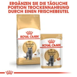 Royal Canin British Shorthair Adult - Katzenfutter -Tierbedarf Geschäft royal canin british shorthair adult kattenvoer 137551 0500 none