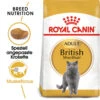 Royal Canin British Shorthair Adult - Katzenfutter