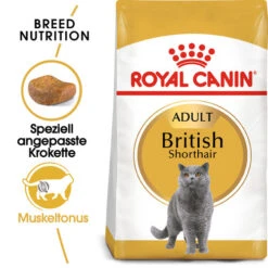 Royal Canin British Shorthair Adult - Katzenfutter
