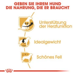 Royal Canin Cavalier King Charles Adult - Hundefutter -Tierbedarf Geschäft royal canin cavalier king charles adult hondenvoer 137869 0500 none