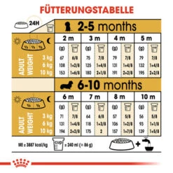 Royal Canin Dachshund Puppy - Hundefutter -Tierbedarf Geschäft royal canin dachshund puppy hondenvoer 138355 0500 none