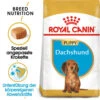 Royal Canin Dachshund Puppy - Hundefutter 2 Royal Canin Dachshund Puppy - Hundefutter -Tierbedarf Geschäft royal canin dachshund puppy hondenvoer 140516 0500 none