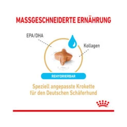 Royal Canin German Shepherd Adult 5+ -Tierbedarf Geschäft royal canin german shepherd adult 5 165106 0500 none