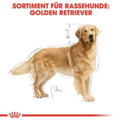 Royal Canin Golden Retriever Adult - Hundefutter -Tierbedarf Geschäft royal canin golden retriever adult hondenvoer 138871 0500 none