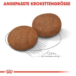 Royal Canin Medium Adult 7+ - Hundefutter -Tierbedarf Geschäft royal canin medium adult 7 hondenvoer 128495 0500 none