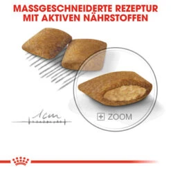 Royal Canin Mini Exigent - Hundefutter 16 Royal Canin Mini Exigent - Hundefutter -Tierbedarf Geschäft royal canin mini exigent hondenvoer 133178 0500 none