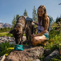 Ruffwear Flat Out Dog Collar - Alpenglow Burst 9 Ruffwear Flat Out Dog Collar - Alpenglow Burst -Tierbedarf Geschäft ruffwear flat out dog collar alpenglow burst 204812 0500 none