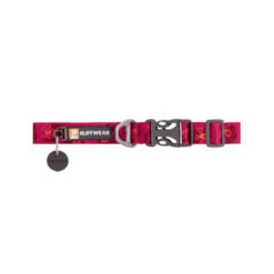 Ruffwear Flat Out Dog Collar - Alpenglow Burst 8 Ruffwear Flat Out Dog Collar - Alpenglow Burst -Tierbedarf Geschäft ruffwear flat out dog collar alpenglow burst 204824 0500 none