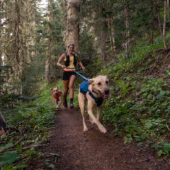 Ruffwear Roamer Leash - Blue Atoll 22 Ruffwear Roamer Leash - Blue Atoll -Tierbedarf Geschäft ruffwear roamer leash blue atoll 204797 0500 none