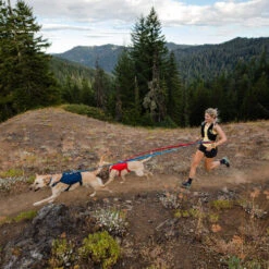 Ruffwear Roamer Leash - Blue Atoll 23 Ruffwear Roamer Leash - Blue Atoll -Tierbedarf Geschäft ruffwear roamer leash blue atoll 204800 0500 none