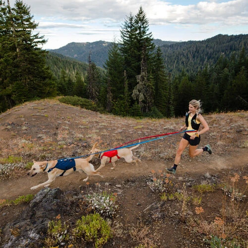 Ruffwear Roamer Leash - Blue Atoll 13 Ruffwear Roamer Leash - Blue Atoll – Bild 11