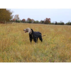 RukkaPets Protect Overall 9 RukkaPets Protect Overall -Tierbedarf Geschäft rukkapets protect overall zwart 216401 0500 none