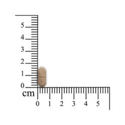 Pulmitranq Pferd -Tierbedarf Geschäft sensipharm pulmitranq paard 174541 0500 none