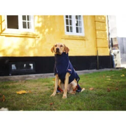 Siccaro WetDog SupremePro -Tierbedarf Geschäft siccaro wetdog supremepro 20 216994 0500 none