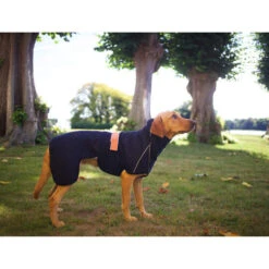 Siccaro WetDog SupremePro -Tierbedarf Geschäft siccaro wetdog supremepro 20 216995 0500 none