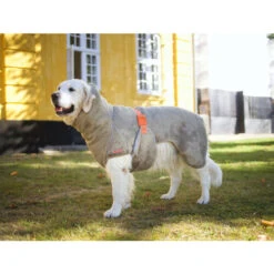 Siccaro WetDog SupremePro -Tierbedarf Geschäft siccaro wetdog supremepro 20 216997 0500 none